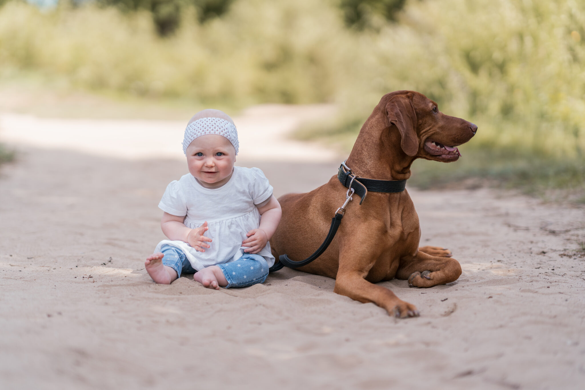 Familienshooting mit Haustier, Baby sitzt mit Haustier Hund im Sand