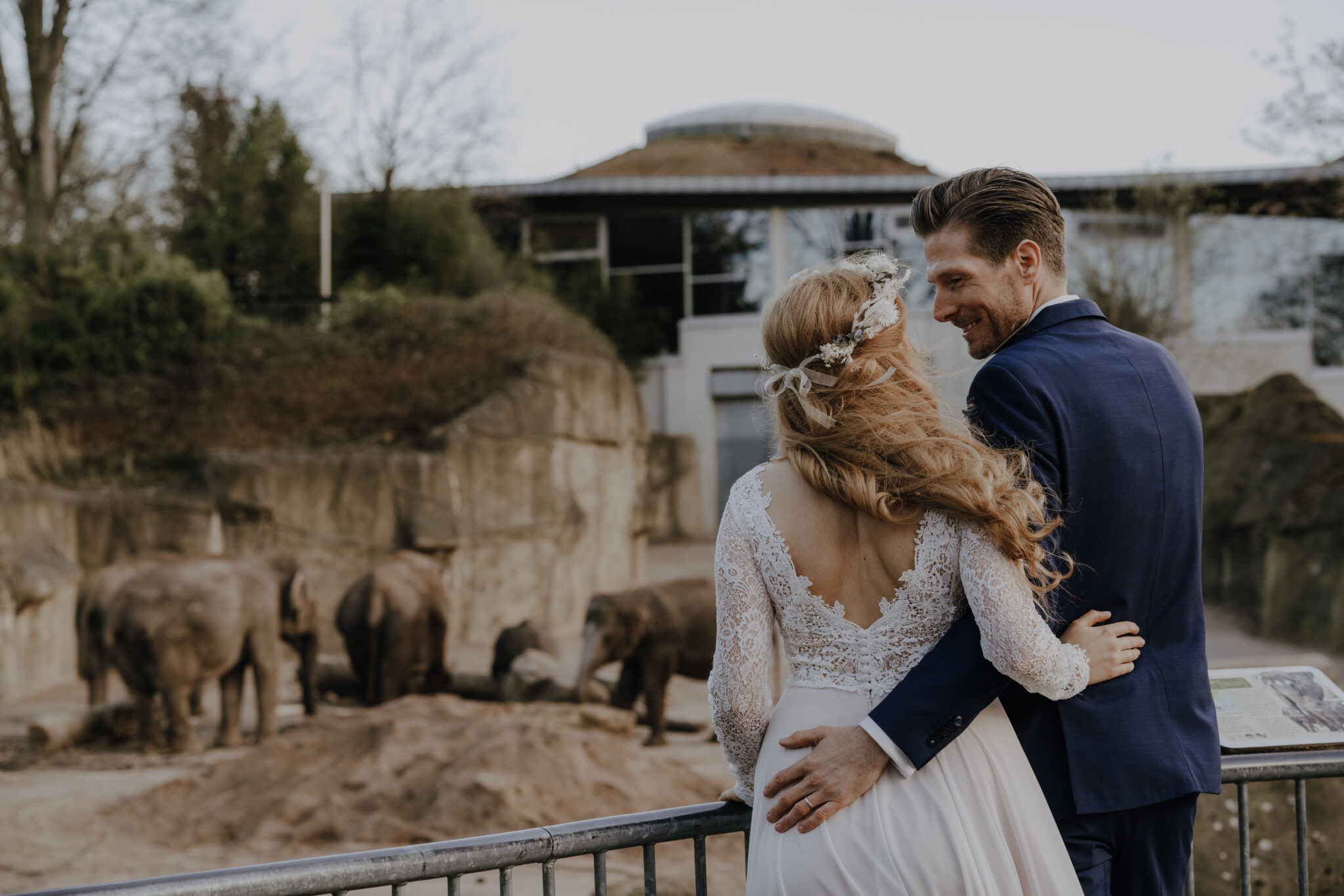 Brautpaar, Umarmung, Blick auf Elefantenpark, Elefanten, Perspektive von hinten