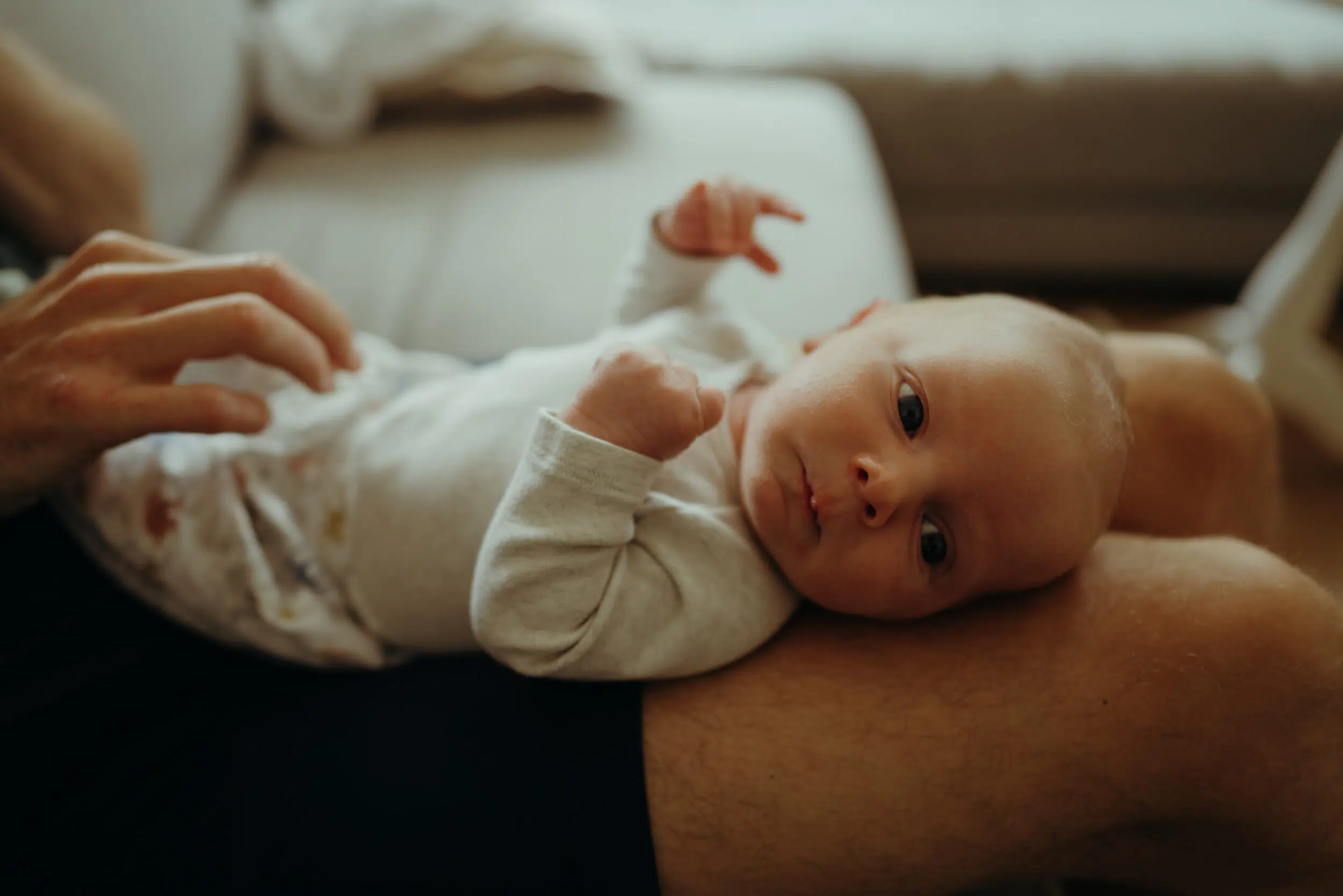 Newborn Portfolio