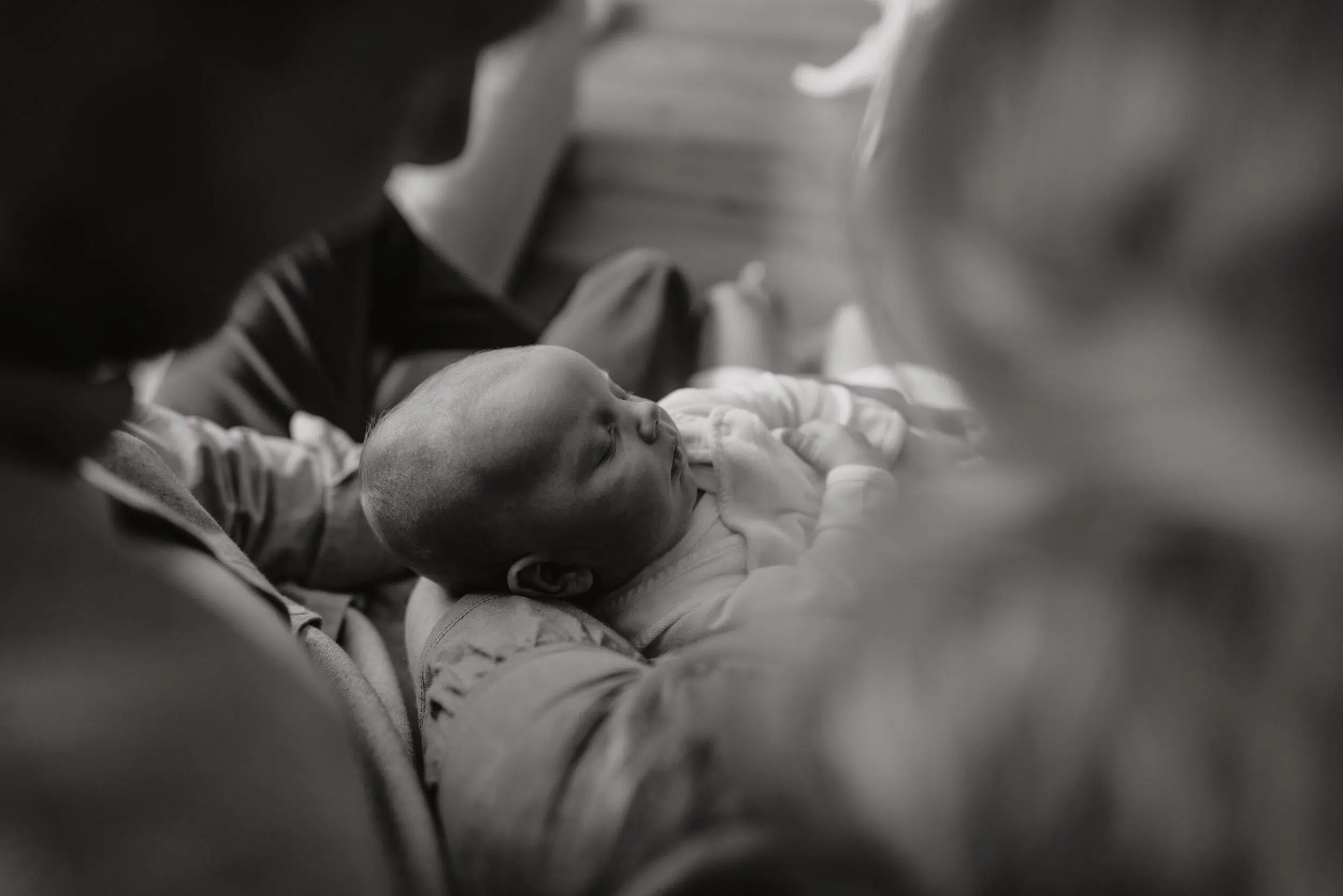 Newborn Portfolio