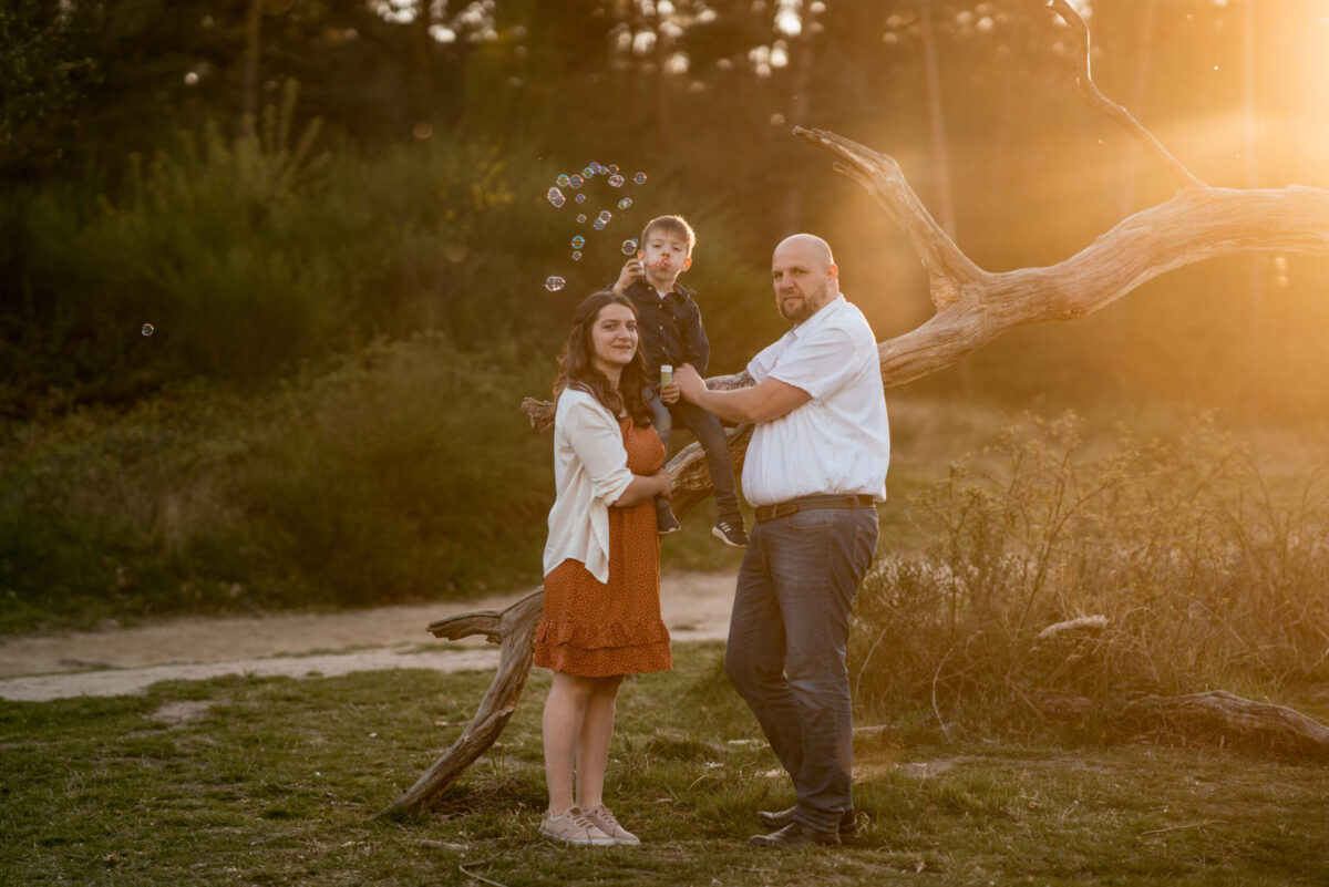 73R07339_verena 73R07339_verena