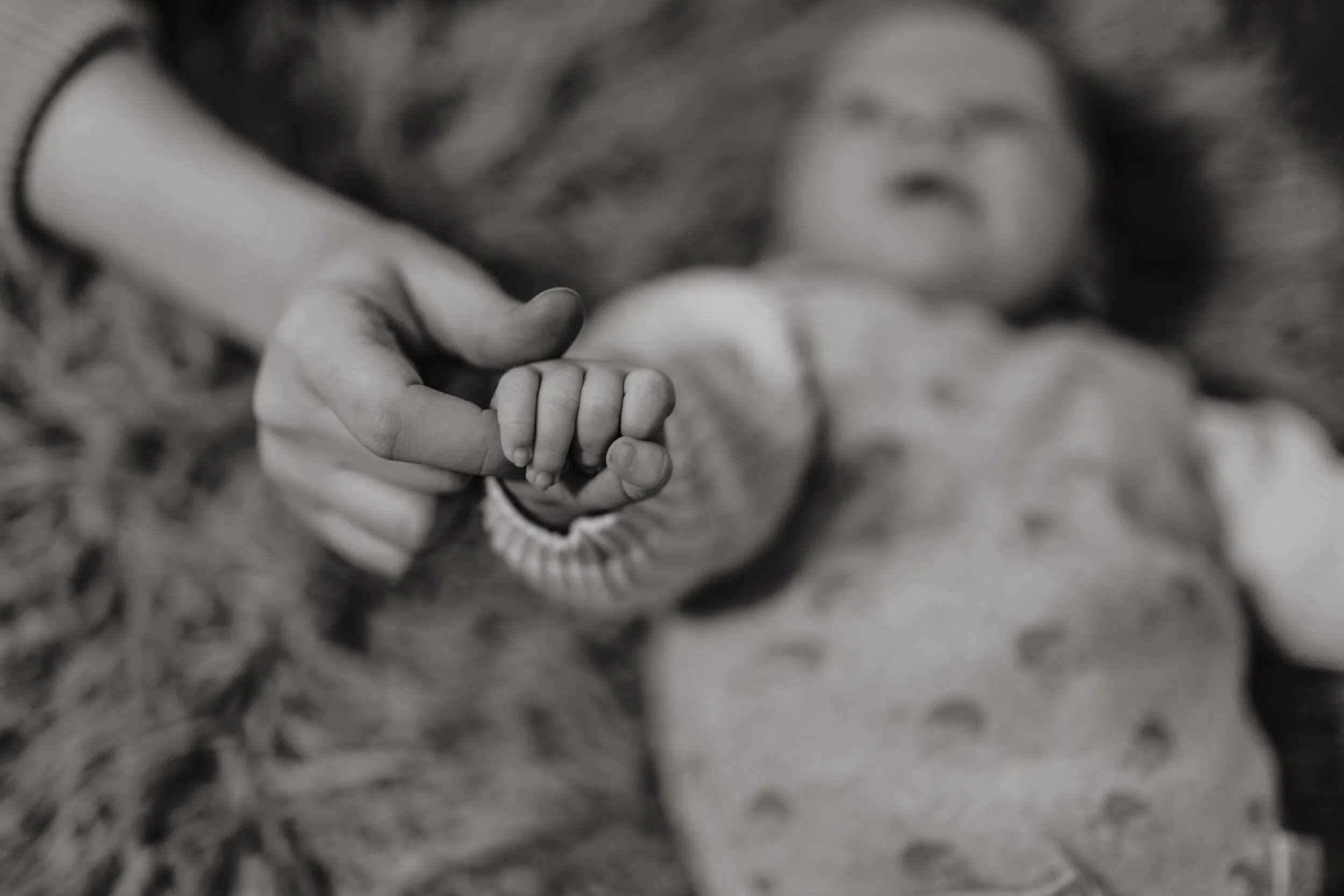 Newborn Portfolio