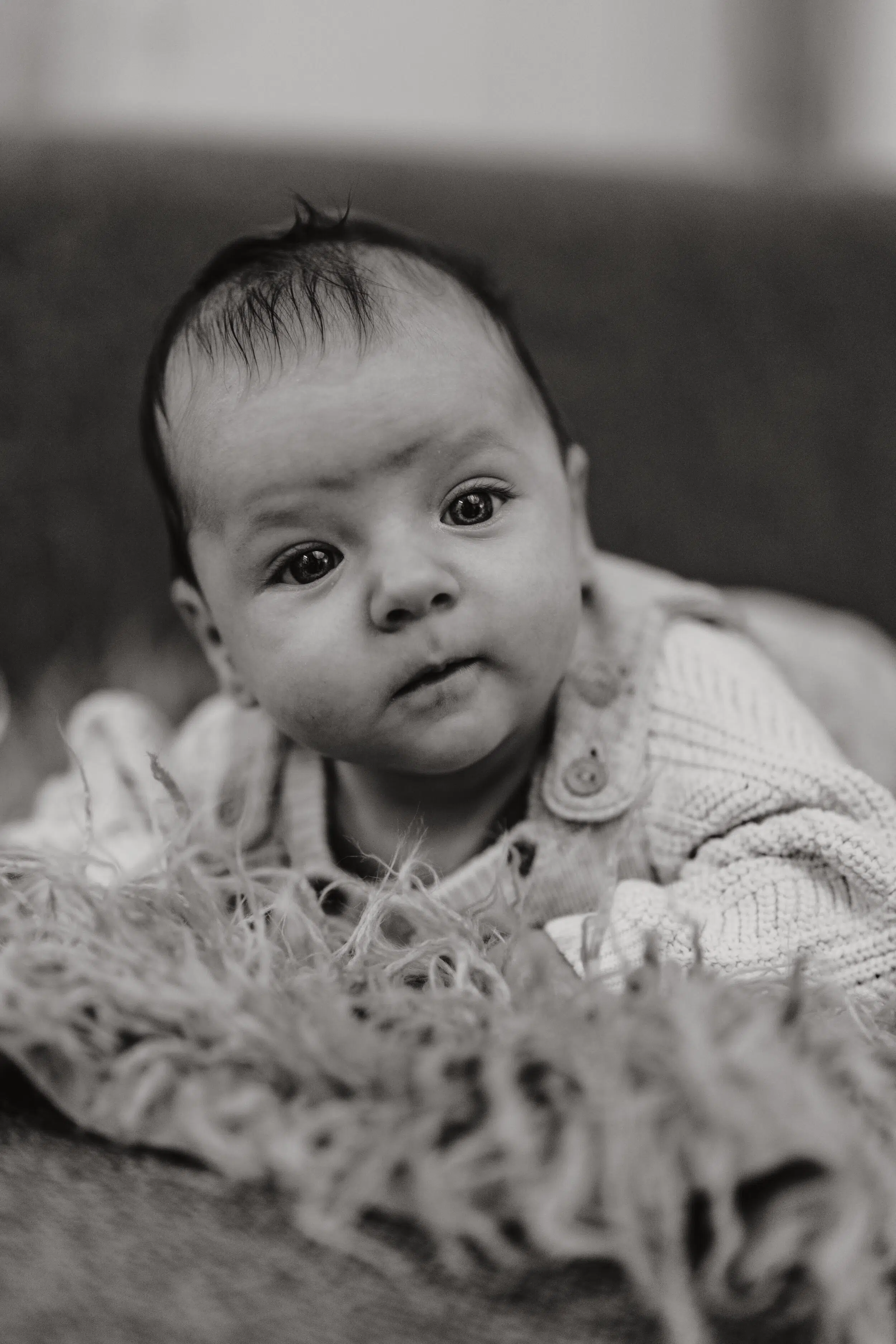Newborn Portfolio