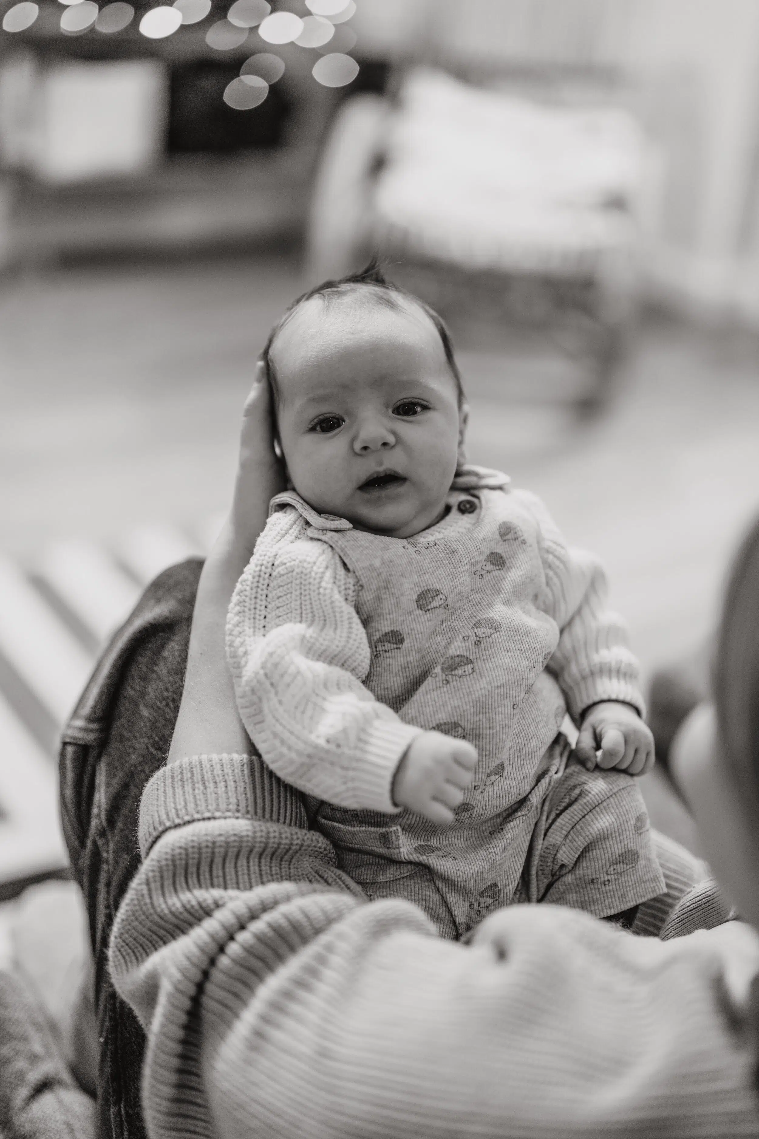 Newborn Portfolio