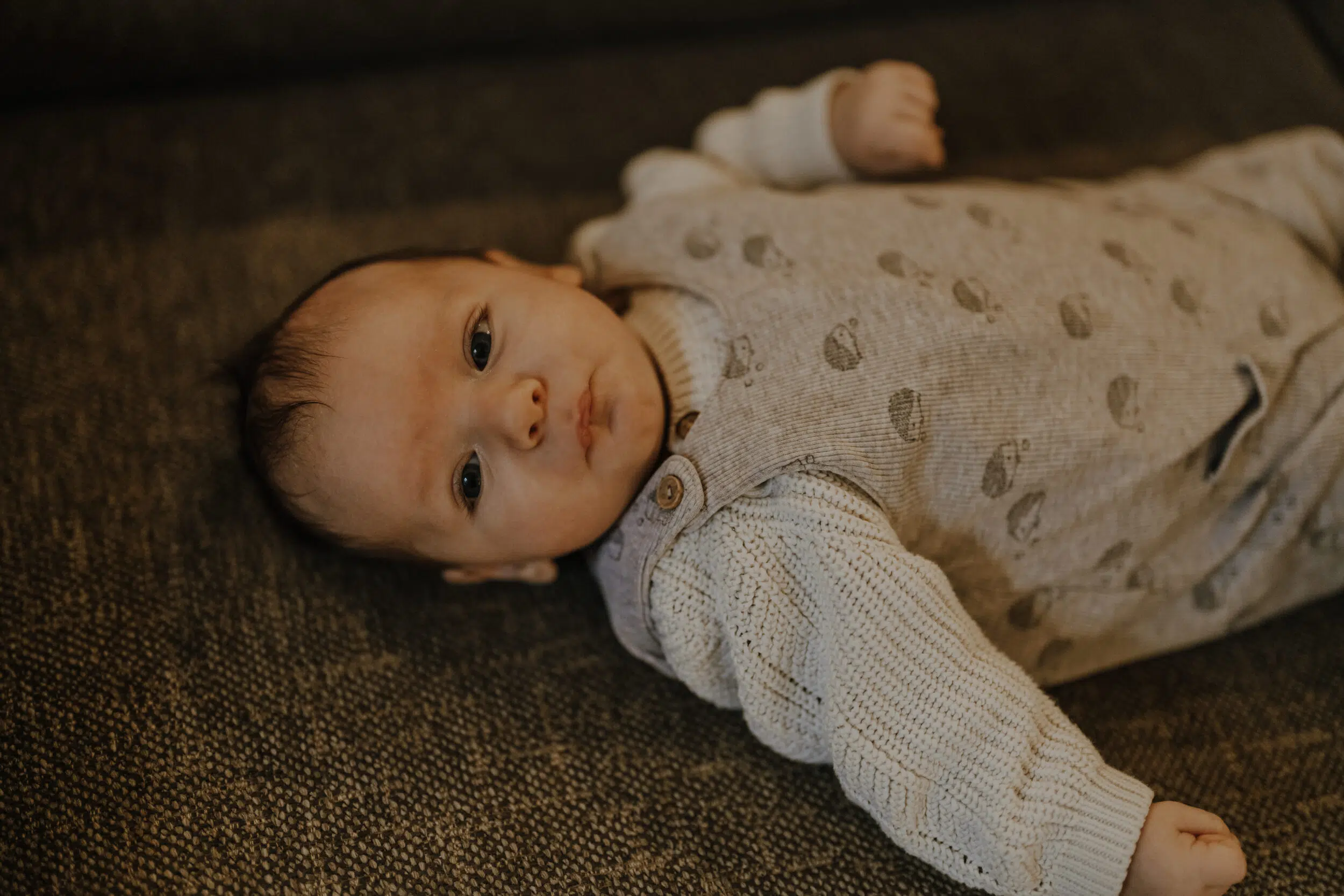 Newborn Portfolio