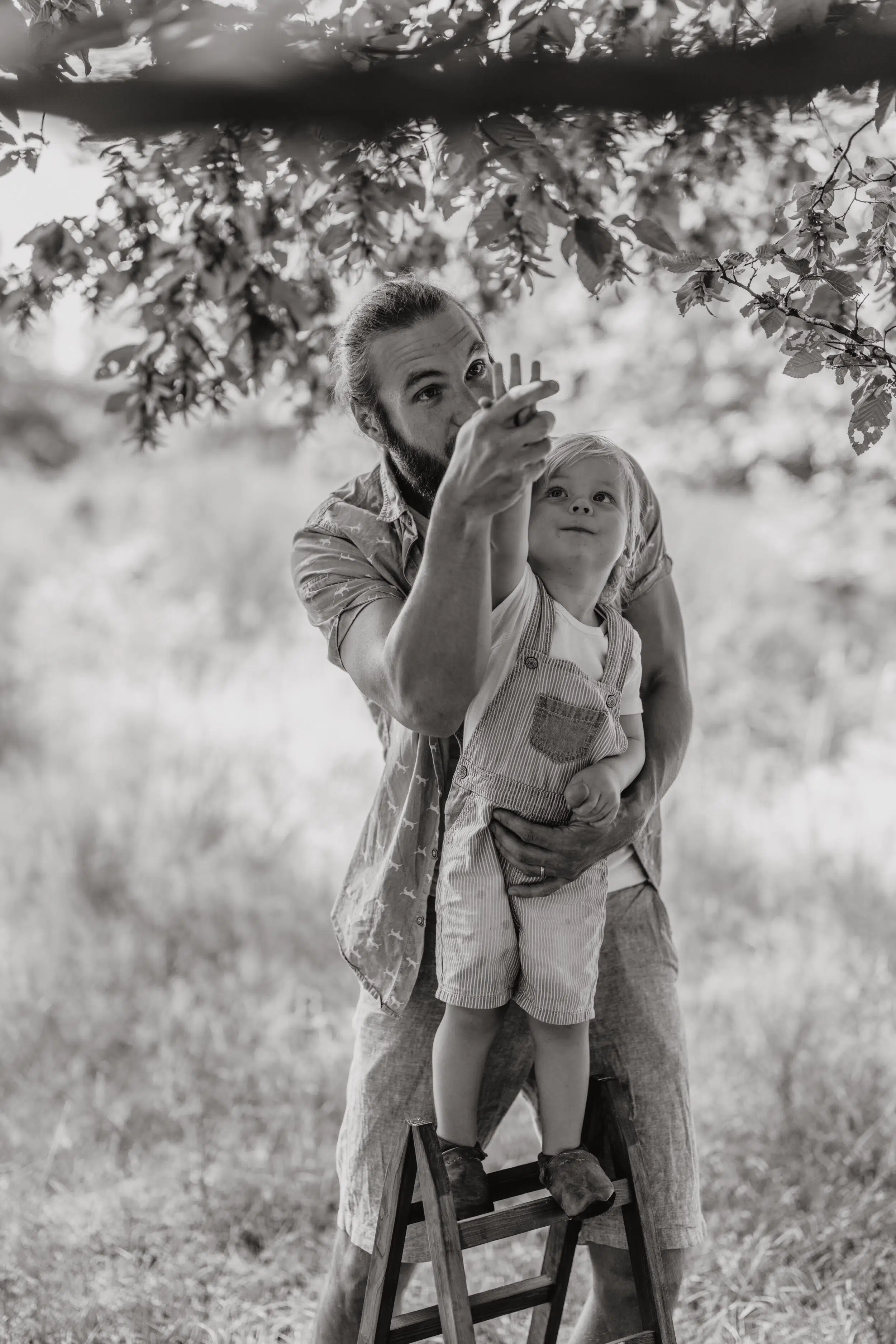 Familie Portfolio