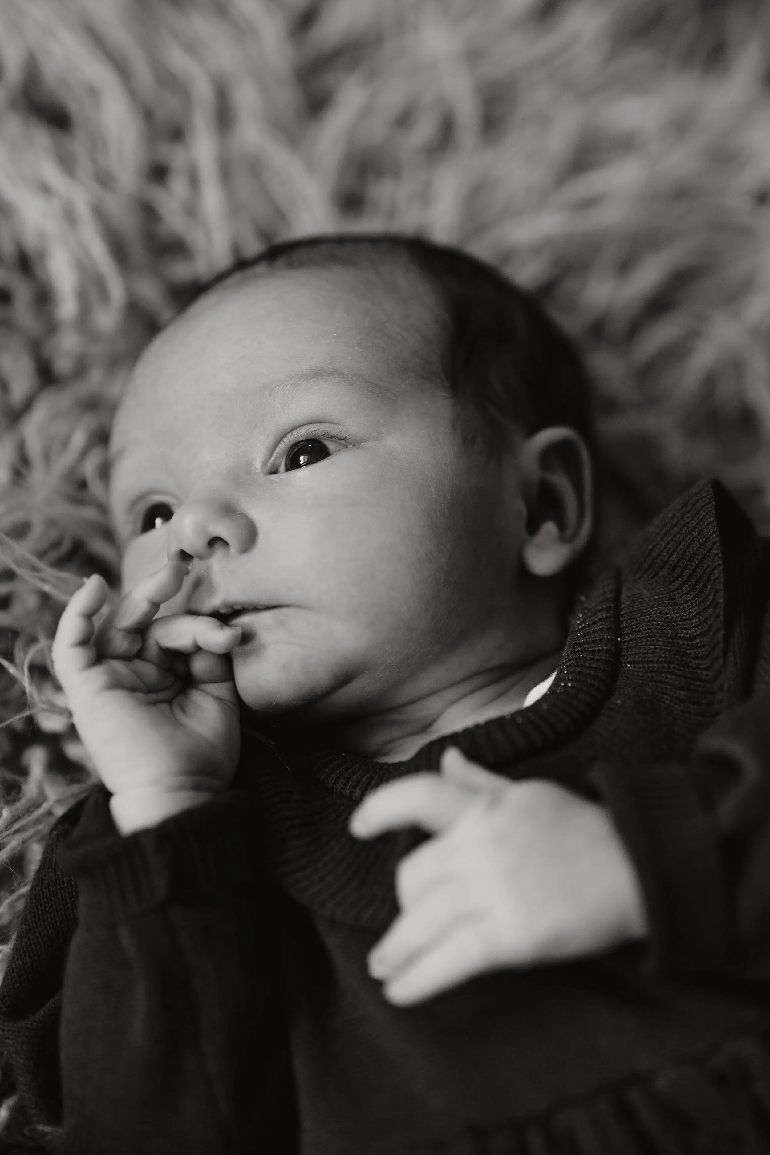 Newborn Portfolio
