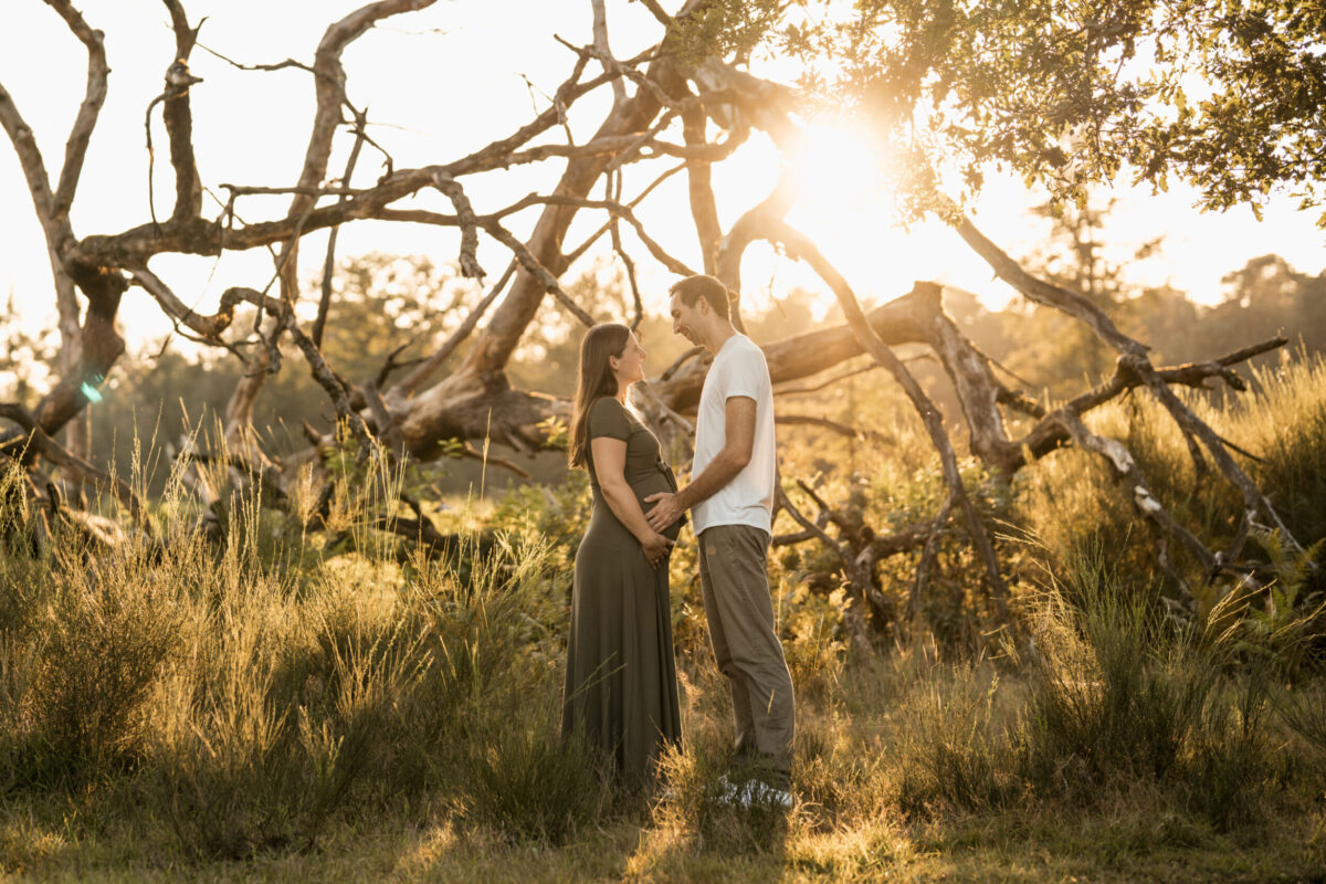s_wahner_heide_092023-_4R27131 Babybauchfotos mit Partner bei der schönen goldigen Abendsonne in der Wahner Heide, Paar vor Bäumen durch die die Sonne scheint