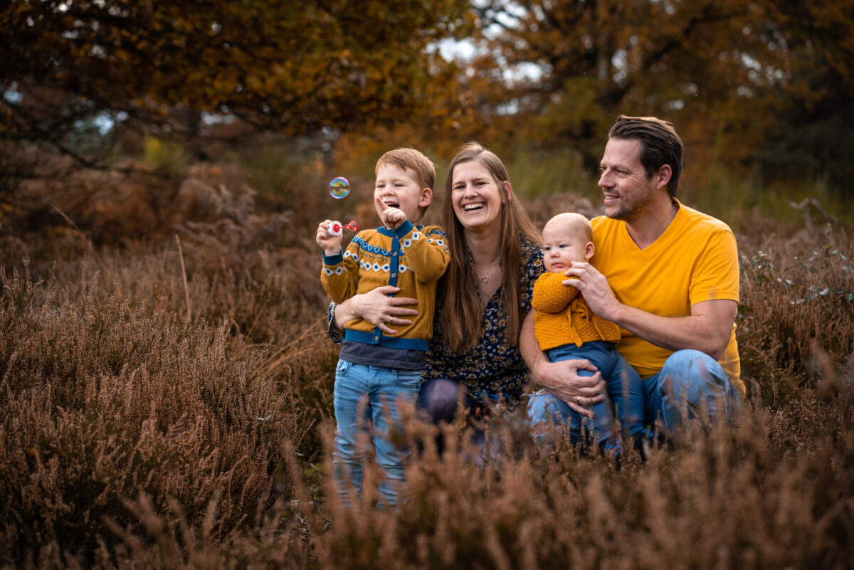 whatidid-08854 whatidid-08854