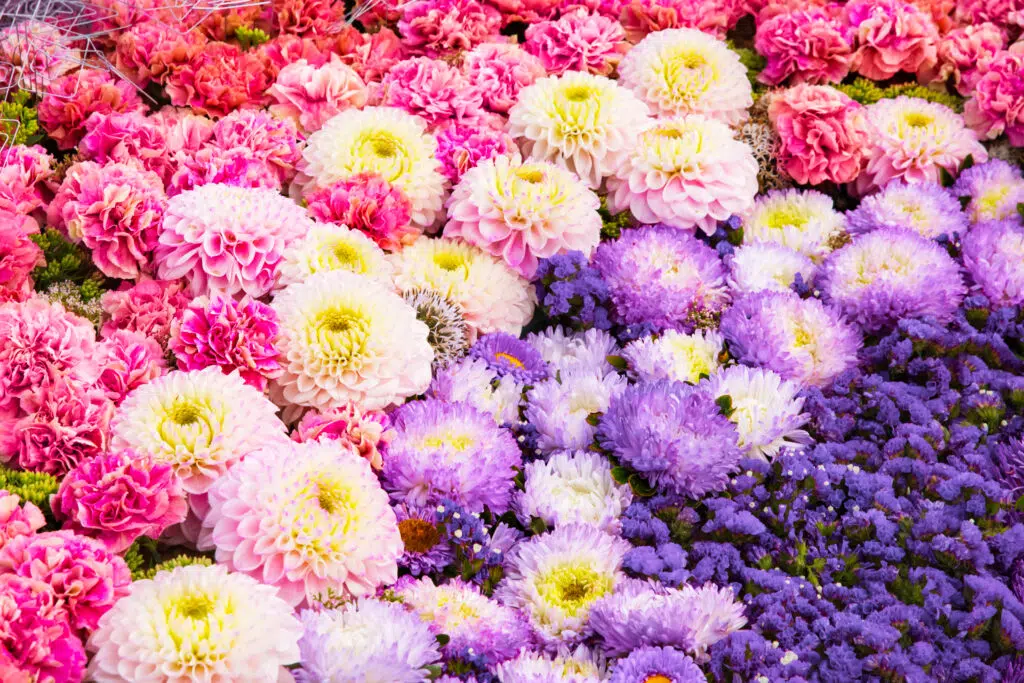 Brautsträuße für den Sommer- Ideen und Tipps