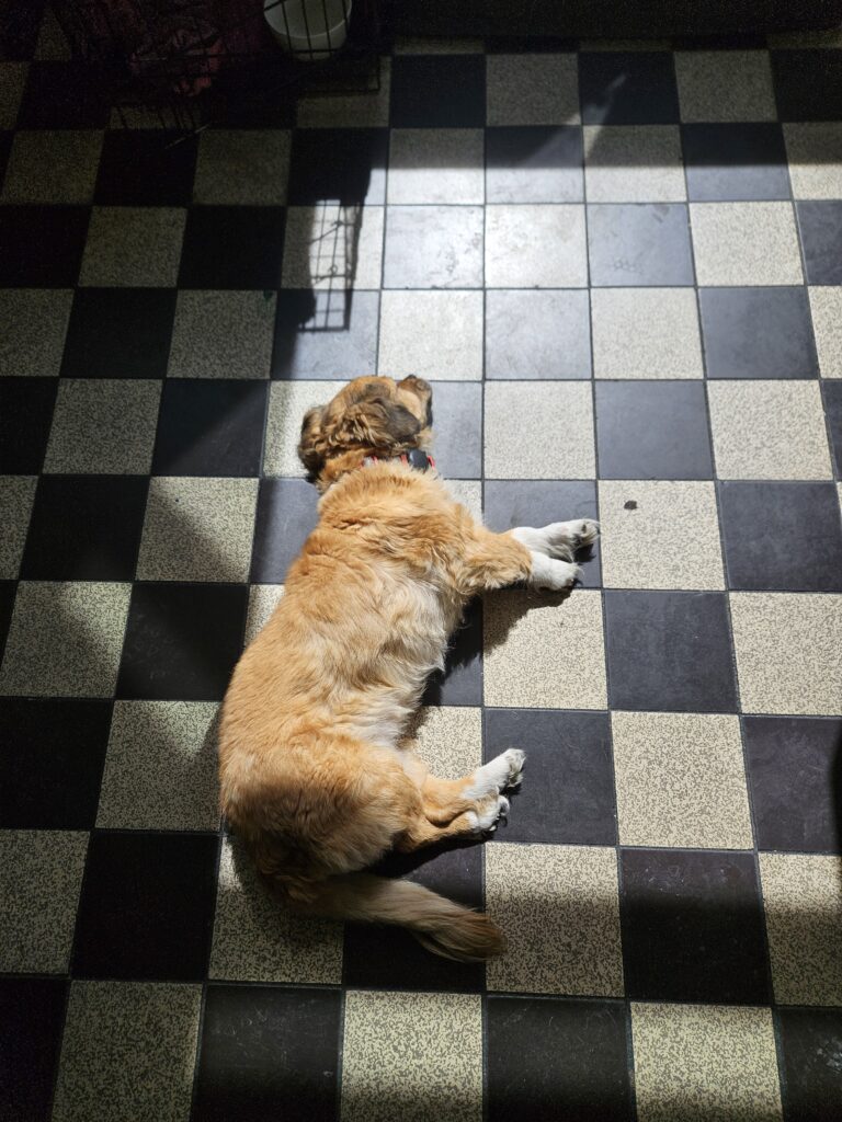 Lina: Praktikum als Hochzeitsfotografin in Köln