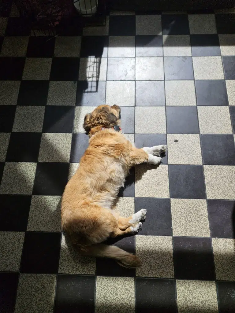 Lina: Praktikum als Hochzeitsfotografin in Köln