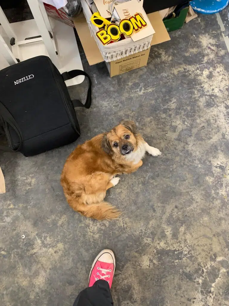 Karl: Praktikum als Fotograf in Köln Karl: Praktikum als Fotograf in Köln