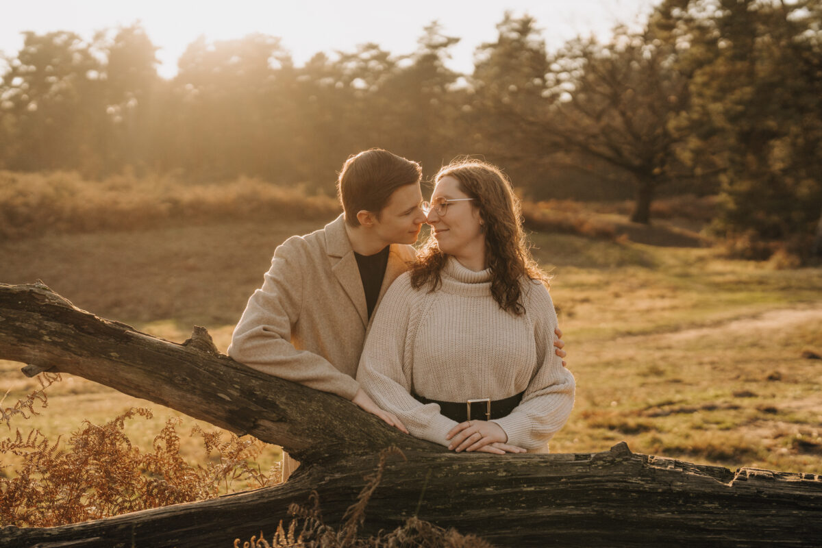 Paar küsst sich und er Abendsonne