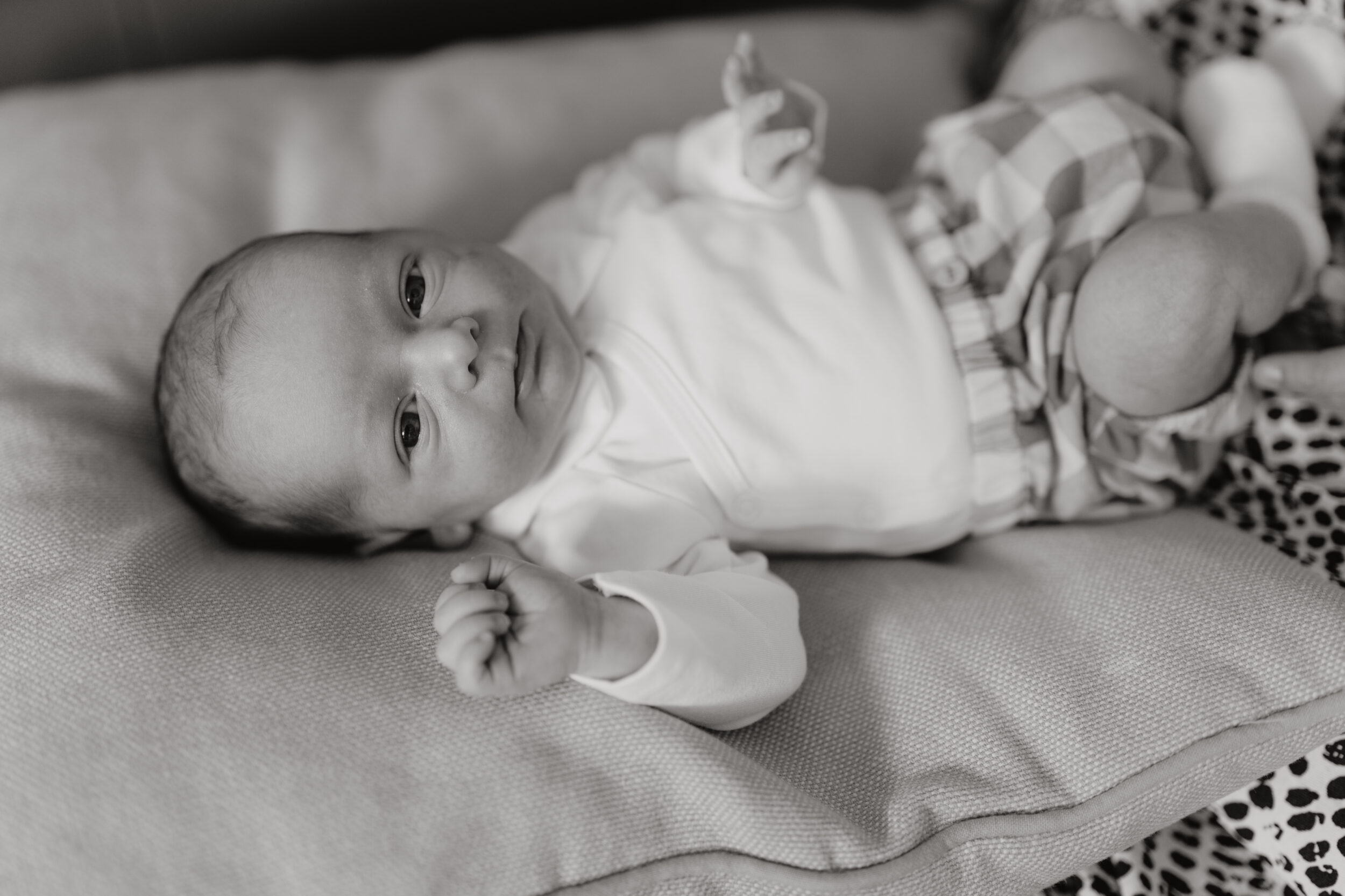 Newborn Portfolio Baby liegt auf Decke und schaut dich an schwarz-weiß