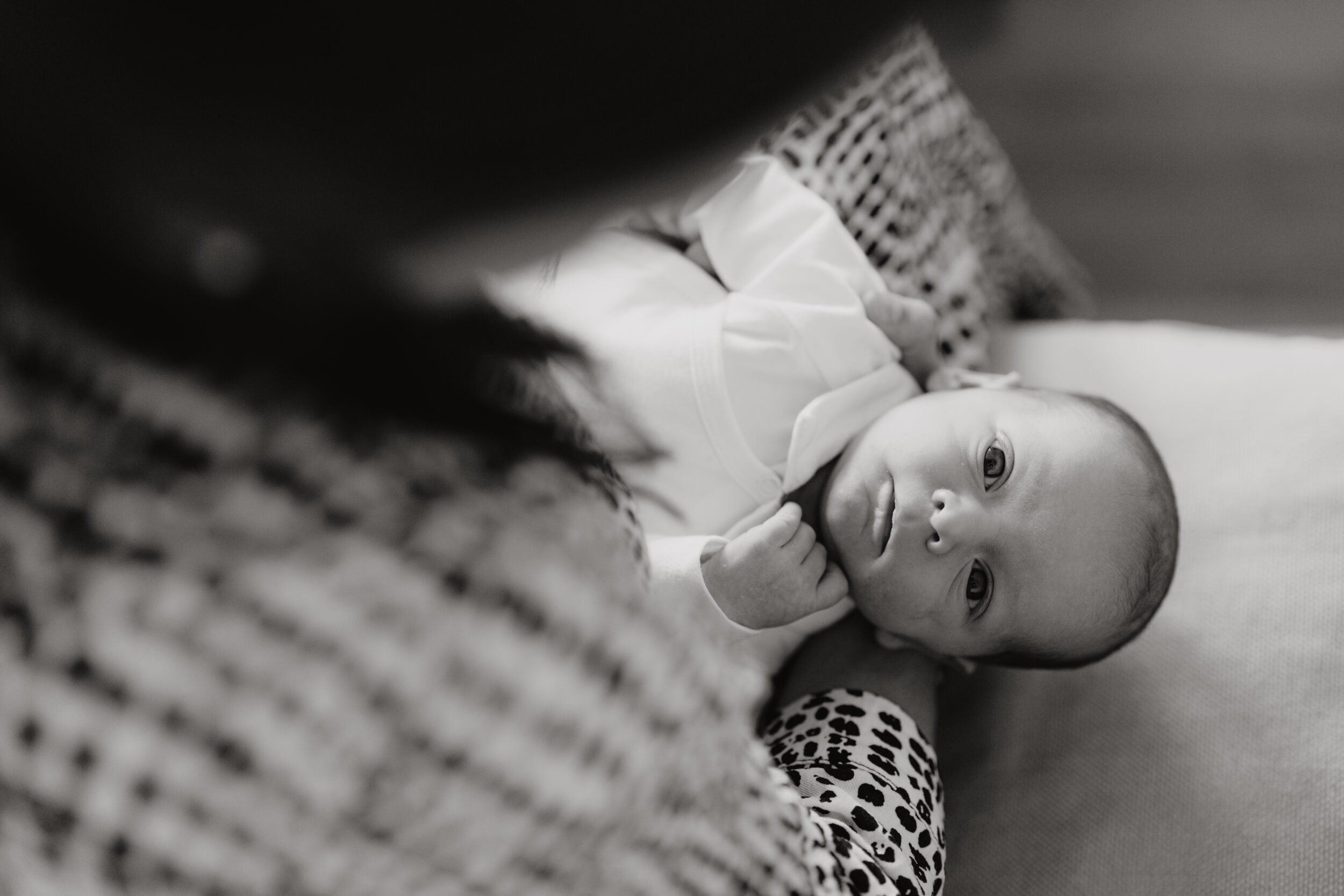 Newborn Portfolio
