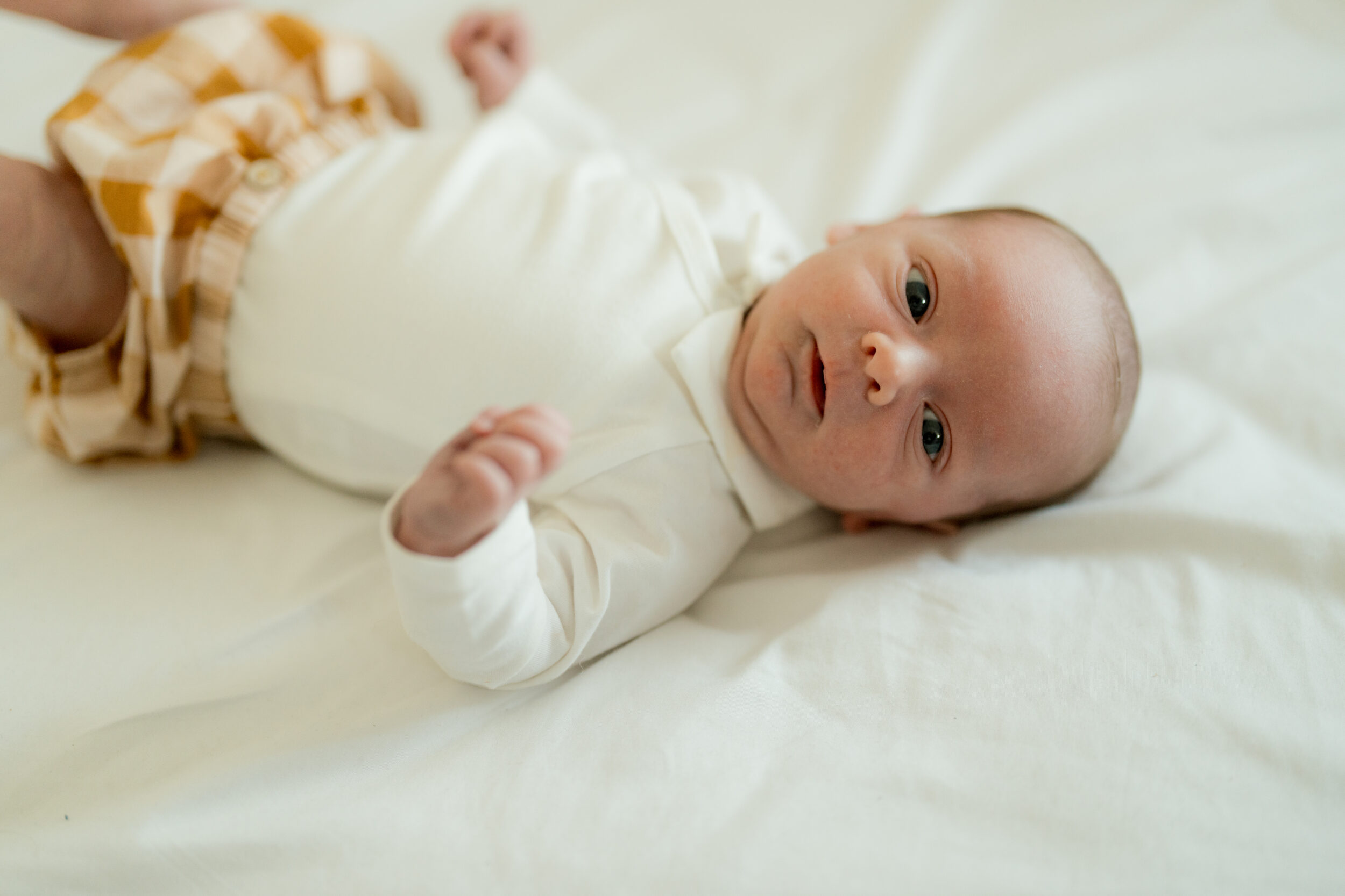 Newborn Portfolio
