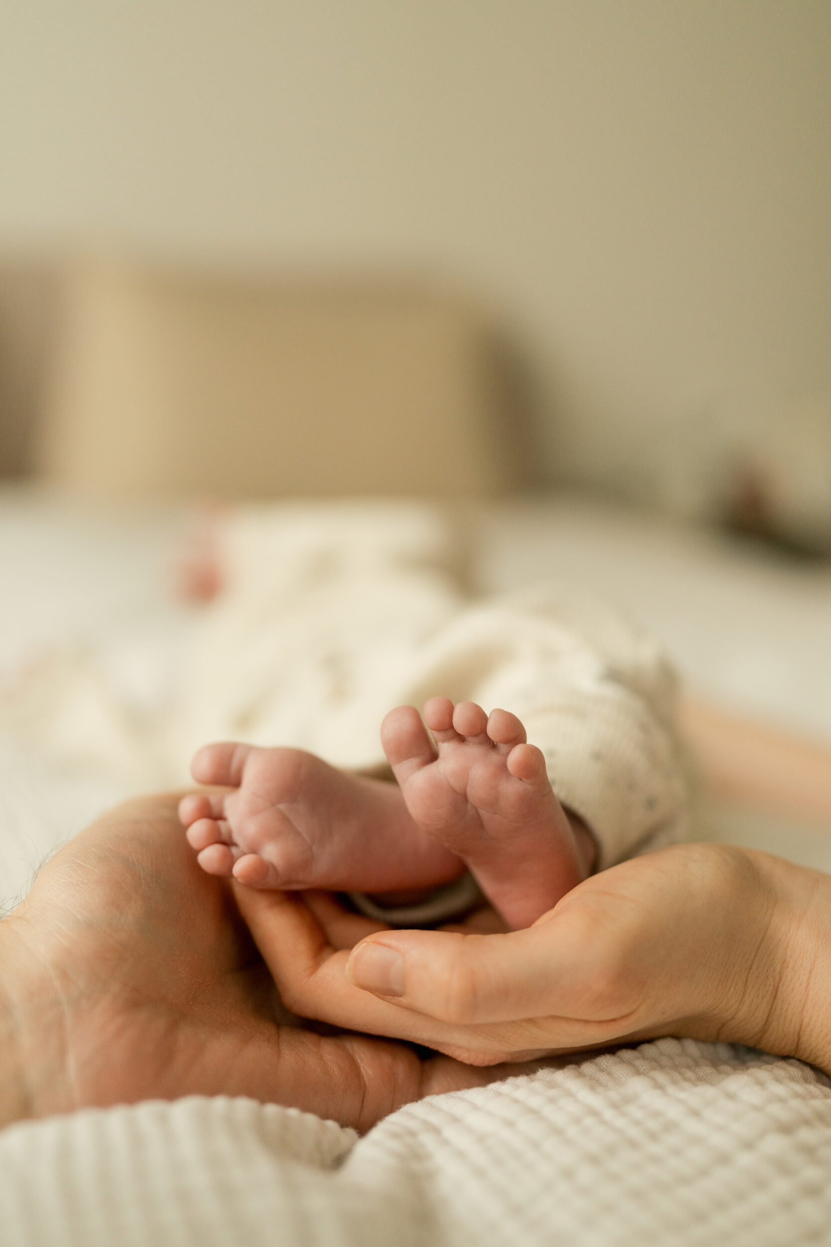 Newborn Portfolio Babyfüßchen in Mamas und Papas Hand