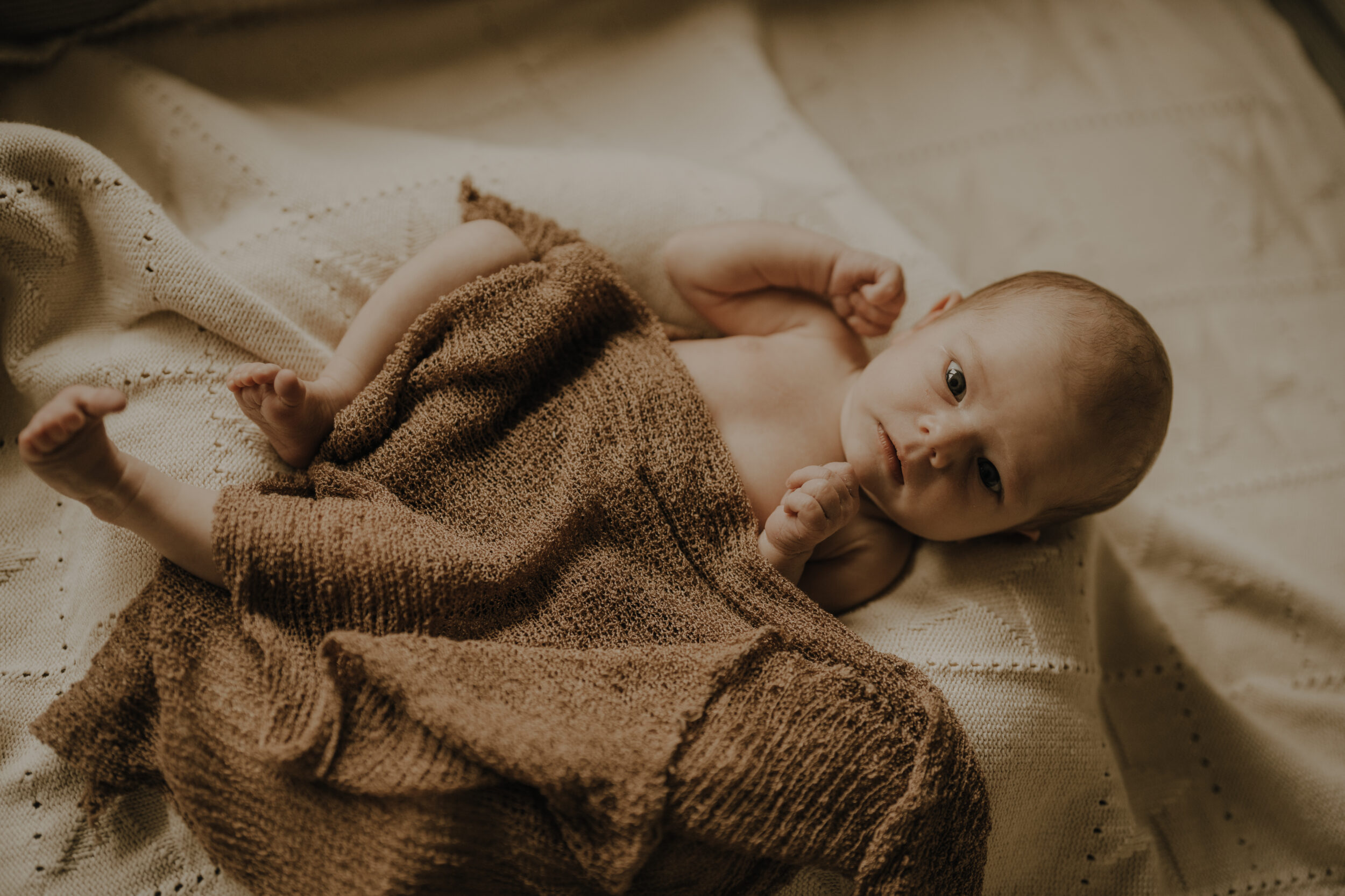 Newborn Portfolio Baby unter brauner Decke guckt dich an
