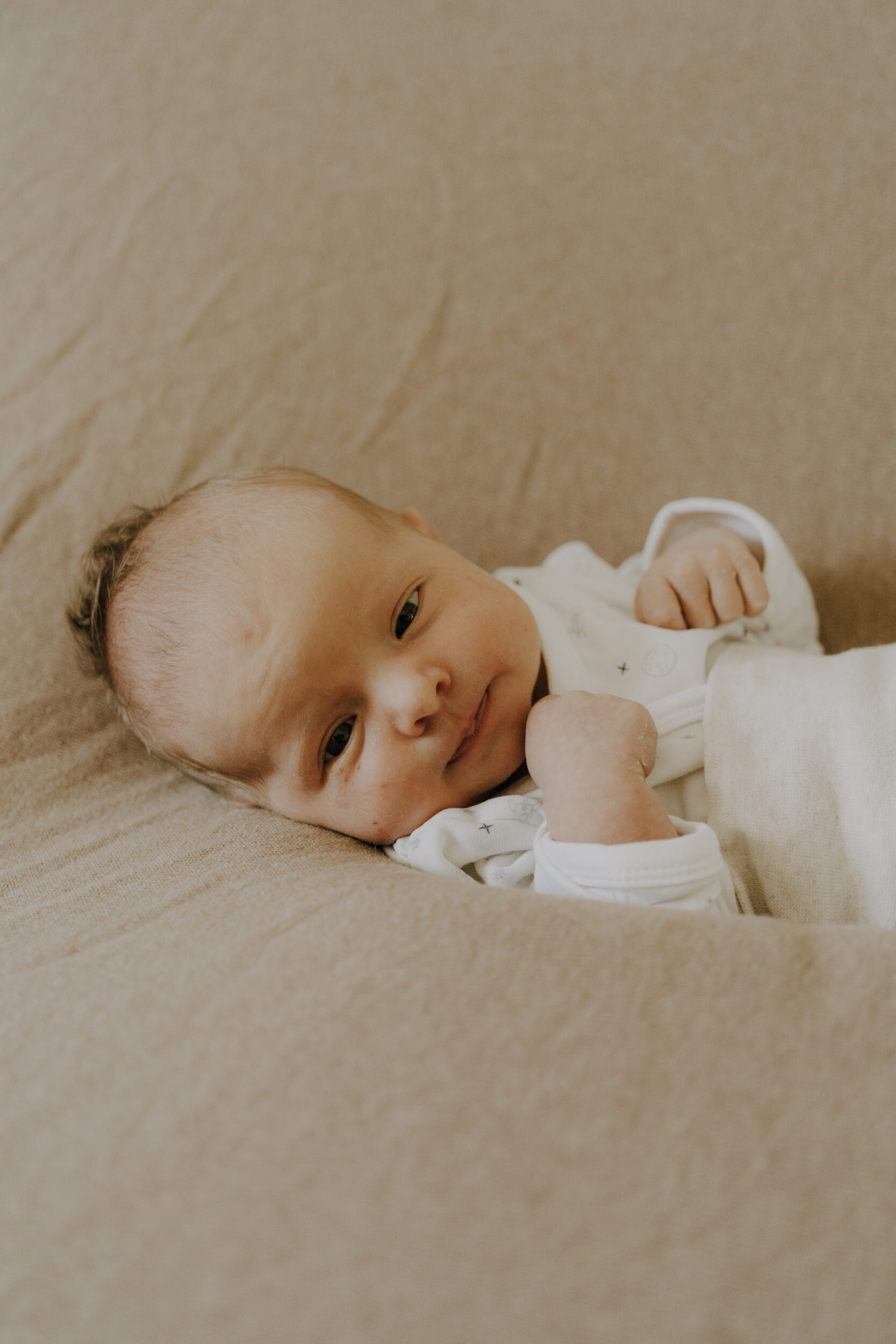 Newborn Portfolio