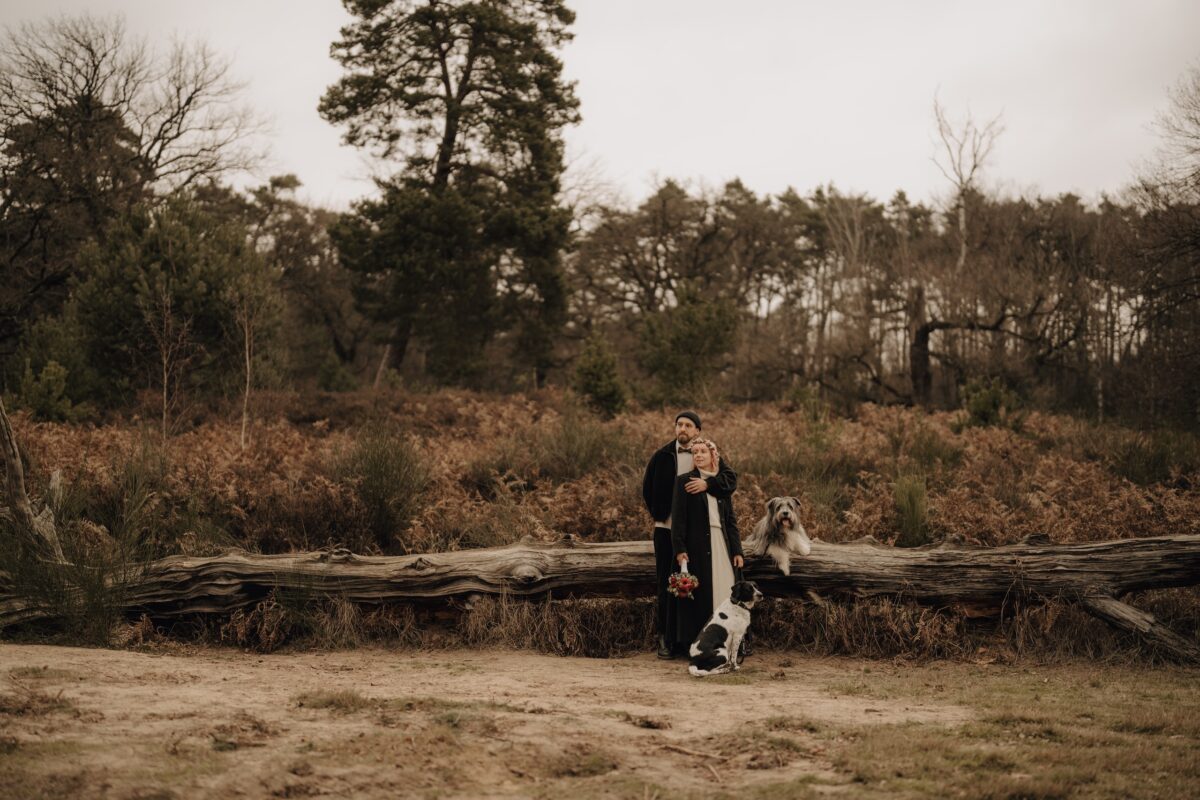 After Wedding, Totale, Braut und Bräutigam befinden sich in einem Waldabschnitt. Der Bräutigam hält seine Braut von hinten und beide schauen in die Ferne. Zwei Hunde sitzen neben den beiden.