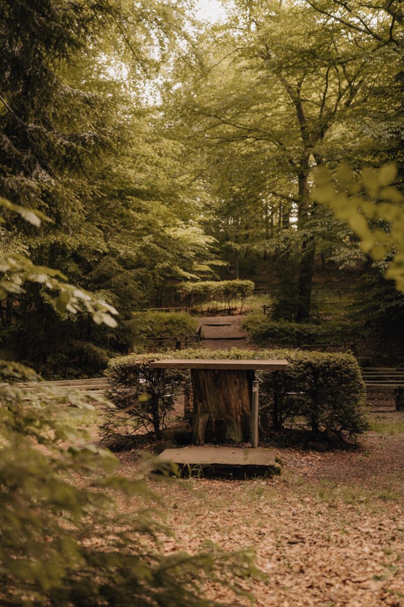 Wildwald Vosswinkel Hochzeit: Trauung mitten im Wald