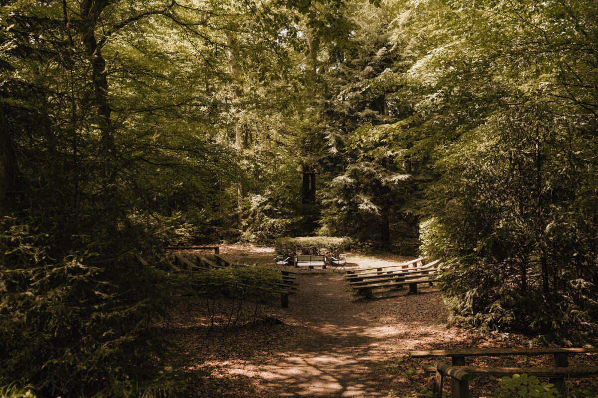 Wildwald Vosswinkel Hochzeit: Trauung mitten im Wald
