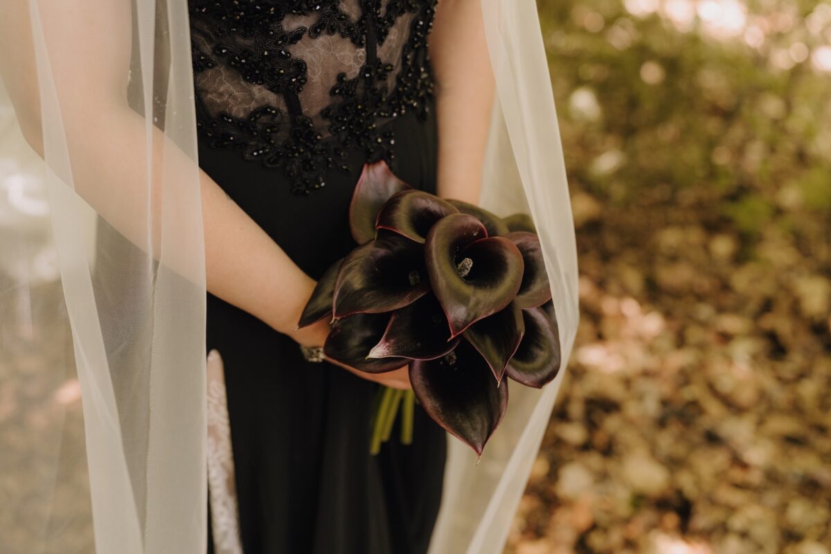 Wildwald Vosswinkel Hochzeit: Trauung mitten im Wald