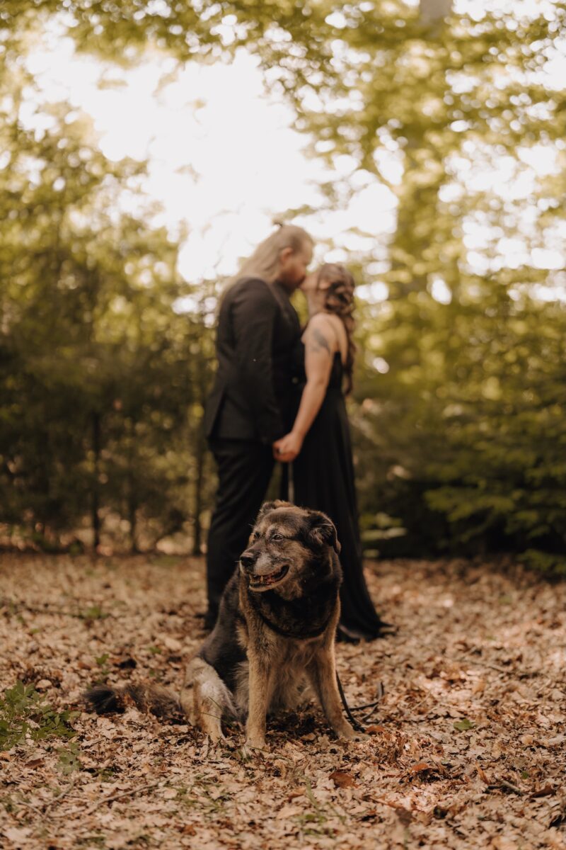 Wildwald Vosswinkel Hochzeit: Trauung mitten im Wald